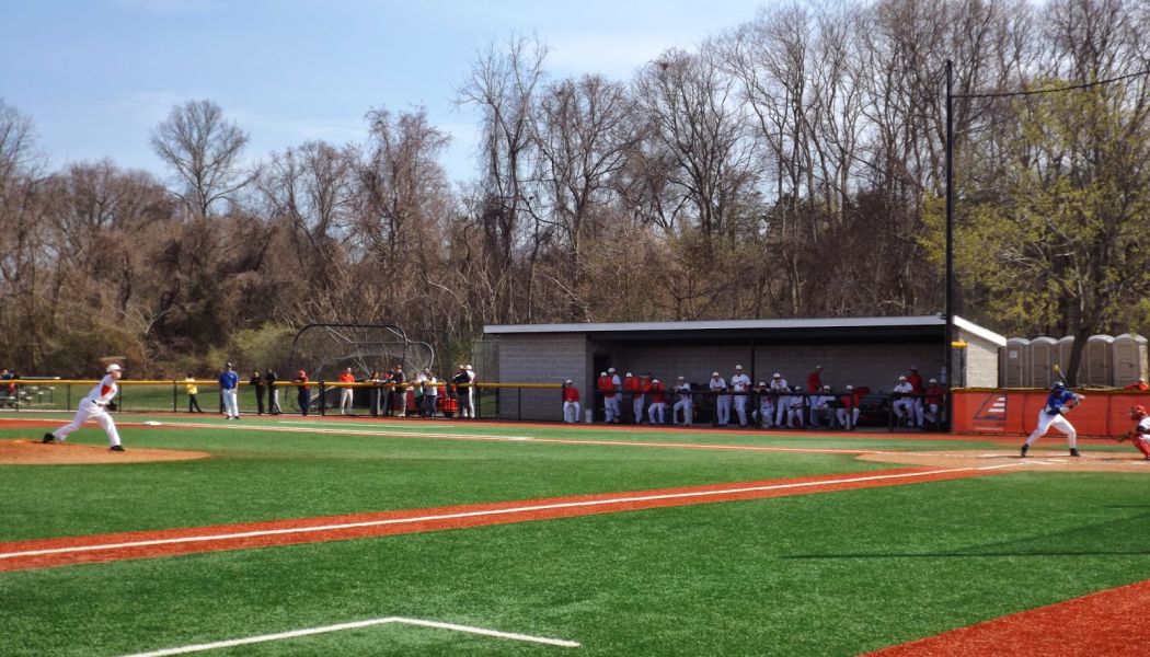 The Golden Era of Long Island Baseball