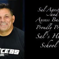 Sal’s Hitting School: Episode 2