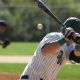 SUNY Old Westbury Baseball Preview: Athleticism and Speed Will Be Hallmark for Panthers