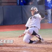 Adelphi Bats Stay Hot, Defeat NYIT 9-3