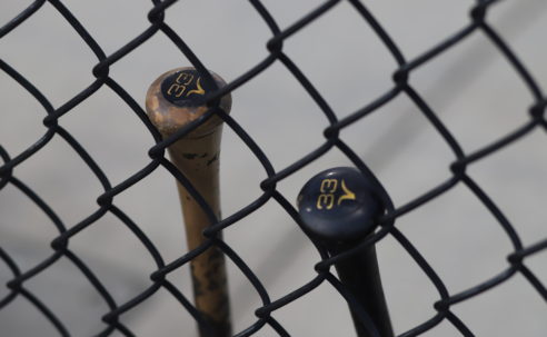 GAME RECAP: Owls Baseball Club Sweeps Sunday Double Header