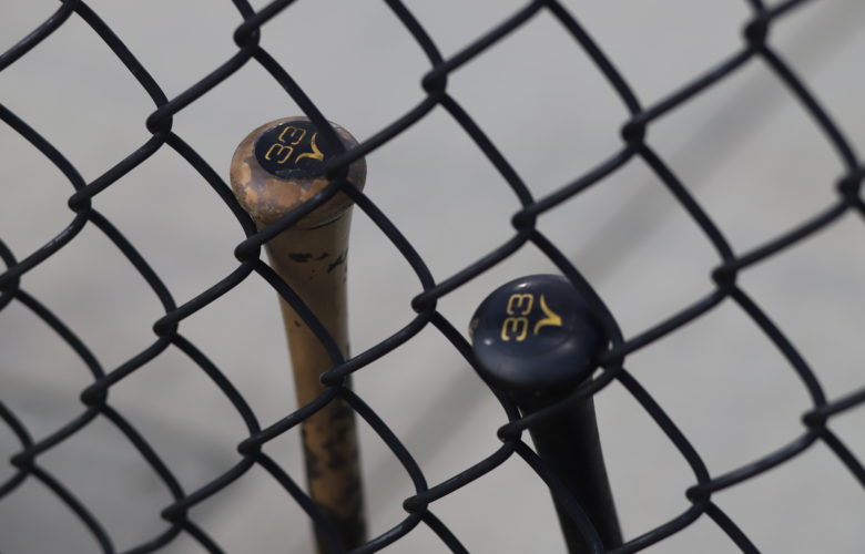 GAME RECAP: Owls Baseball Club Sweeps Sunday Double Header