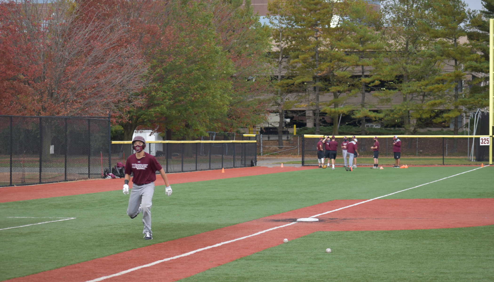 Sean Gordon - Baseball - Molloy University Athletics