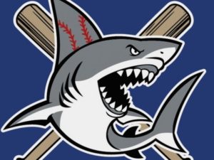 sharksbaseball 300x225
