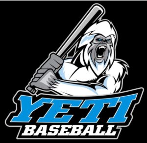 yeti 300x293